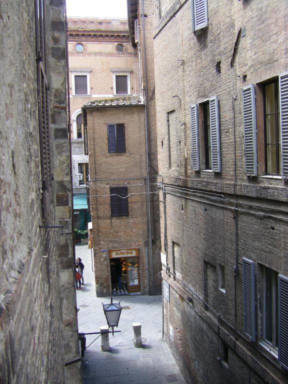 Cannon D'oro Siena